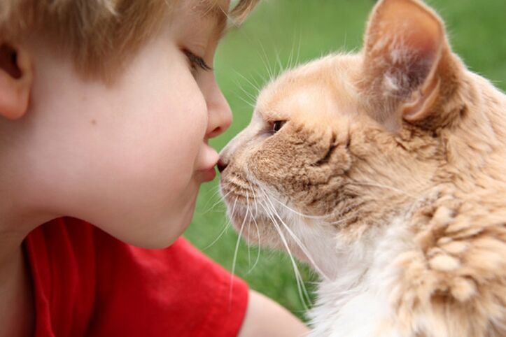 Any child can get worms through contact with animals. 