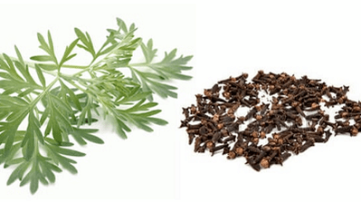 Clove and wormwood to eliminate parasites from the body