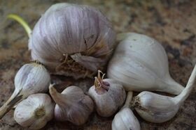 garlic against parasites in the human body